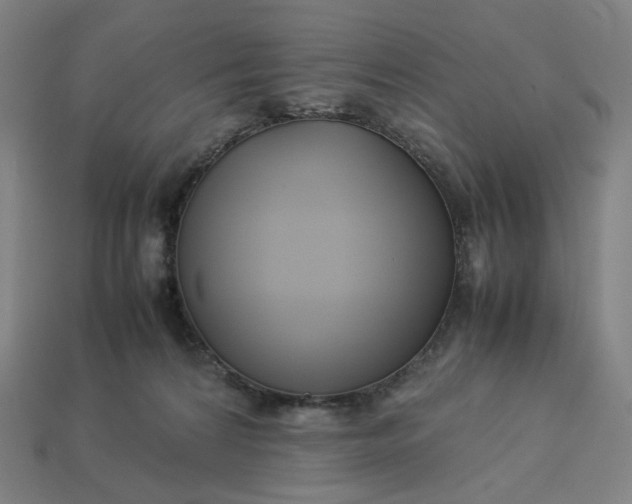 X0000113370224200910061107