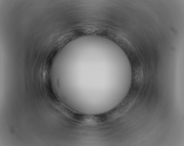 X0000113370226200910061107