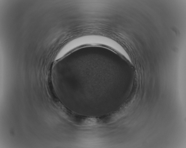 X0000113370227200910061107