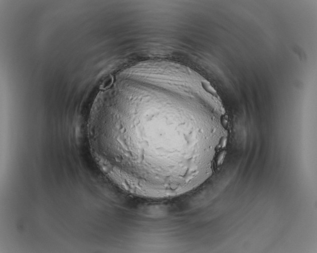X0000113370228200910061107