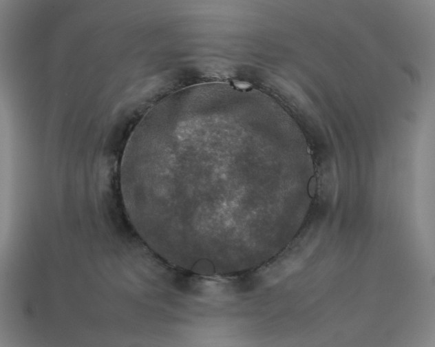 X0000113370229200910061107