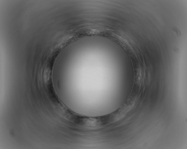 X0000113370230200910061107