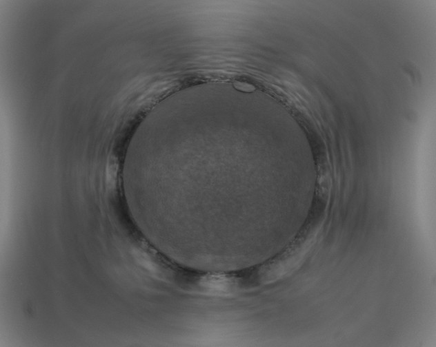 X0000113370231200910061107