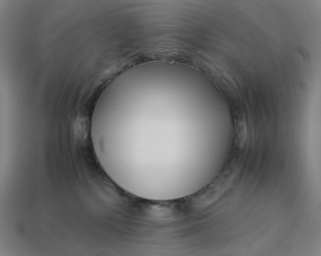 X0000113370232200910061107