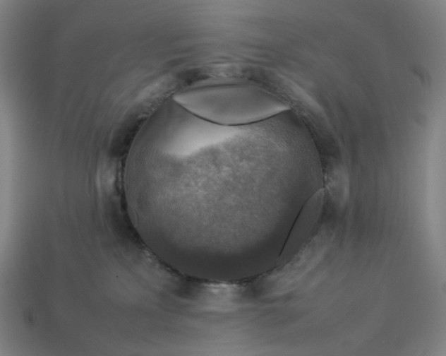 X0000113370233200910061107