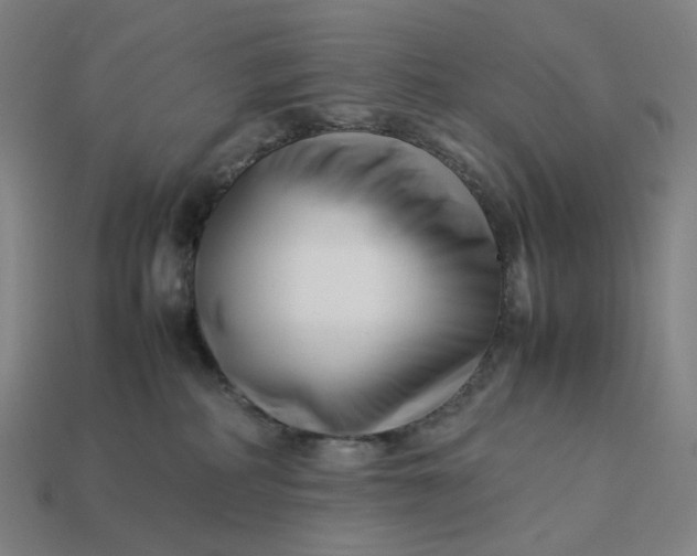 X0000113370234200910061107