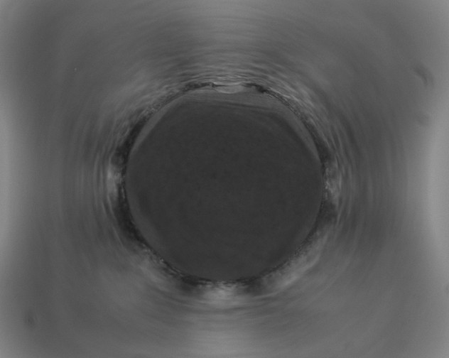 X0000113370235200910061107