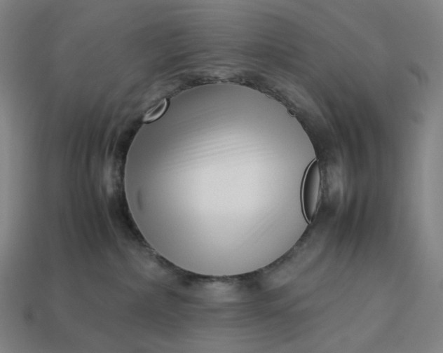 X0000113370236200910061107