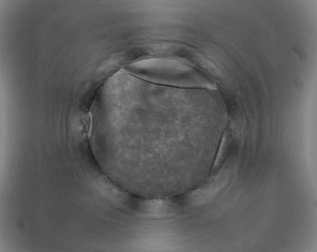 X0000113370237200910061107