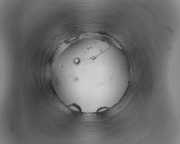 X0000113370240200910061107