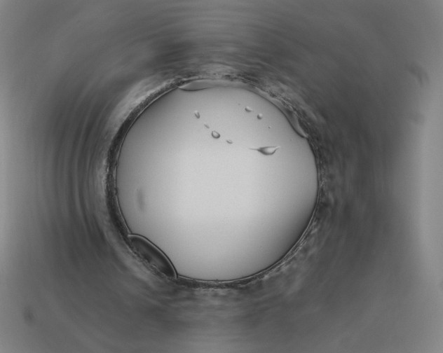 X0000113370242200910061106