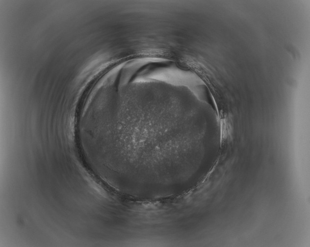 X0000113370243200910061106