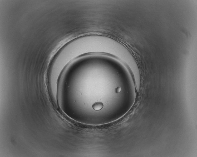 X0000113370244200910061106