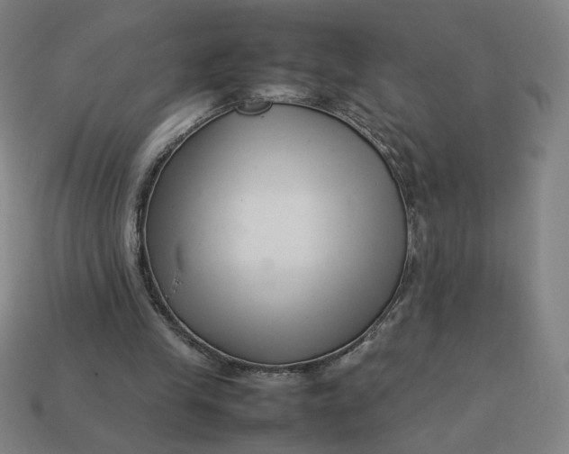 X0000113370245200910061106