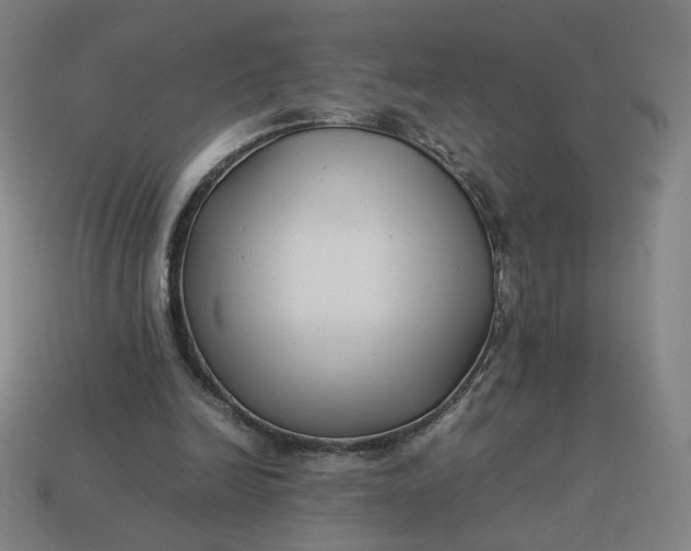 X0000113370246200910061106