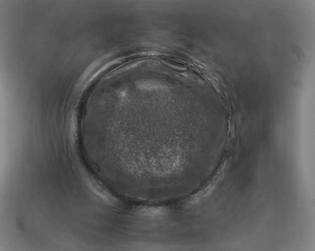 X0000113370247200910061106
