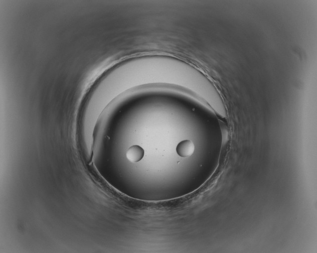 X0000113370248200910061106