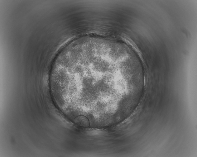 X0000113370249200910061106