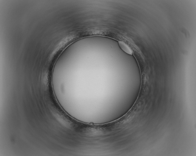 X0000113370250200910061106