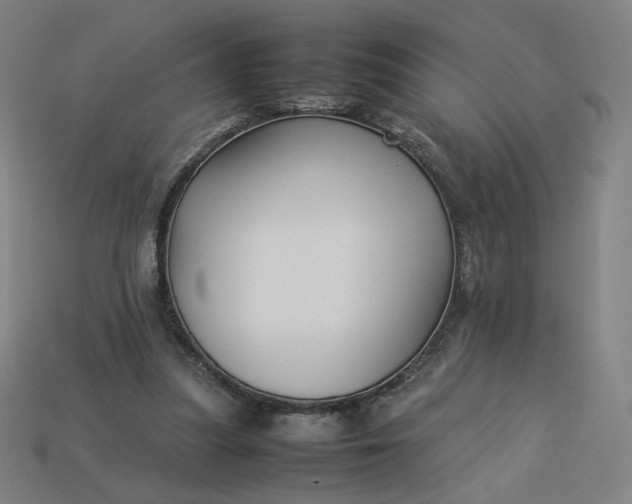 X0000113370251200910061106