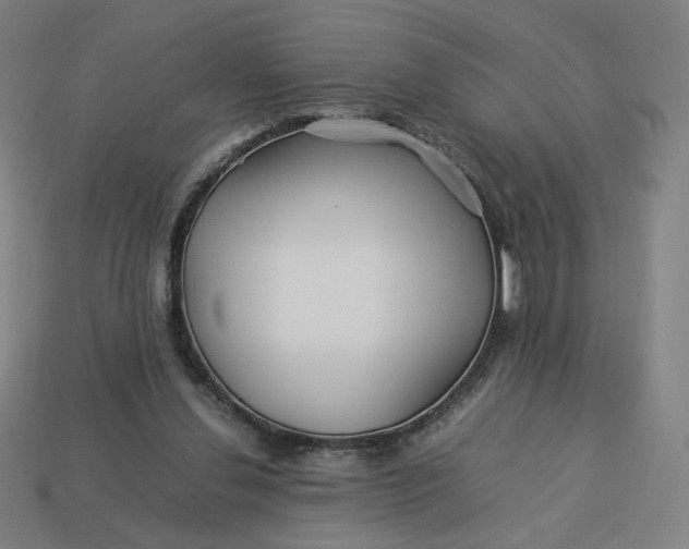 X0000113370252200910061106