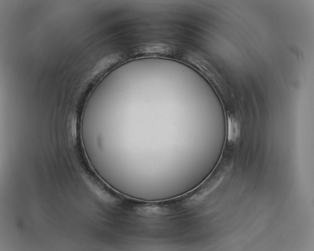 X0000113370253200910061106