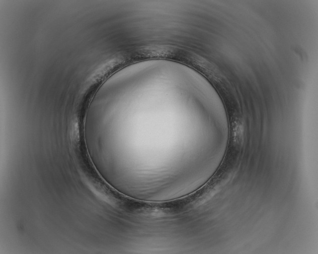 X0000113370254200910061106