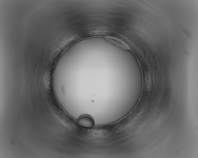 X0000113370255200910061106