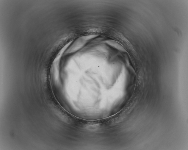 X0000113370257200910061106