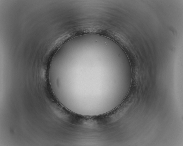 X0000113370258200910061106