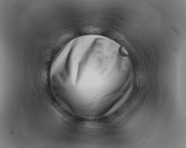 X0000113370259200910061106