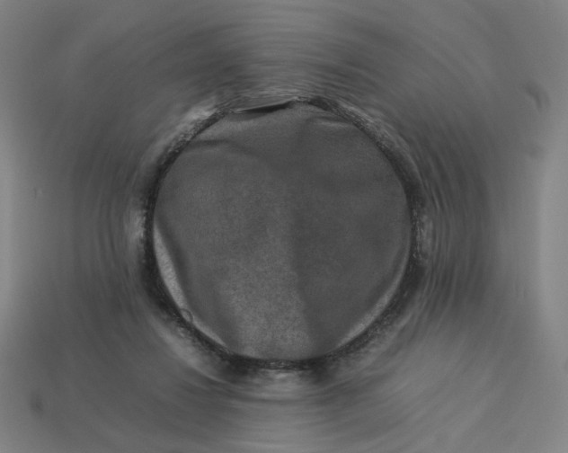X0000113370260200910061106