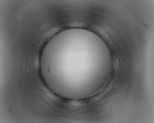 X0000113370261200910061106