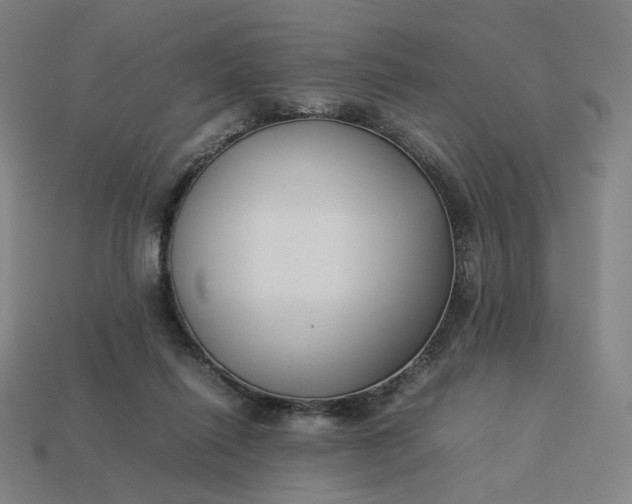 X0000113370262200910061106