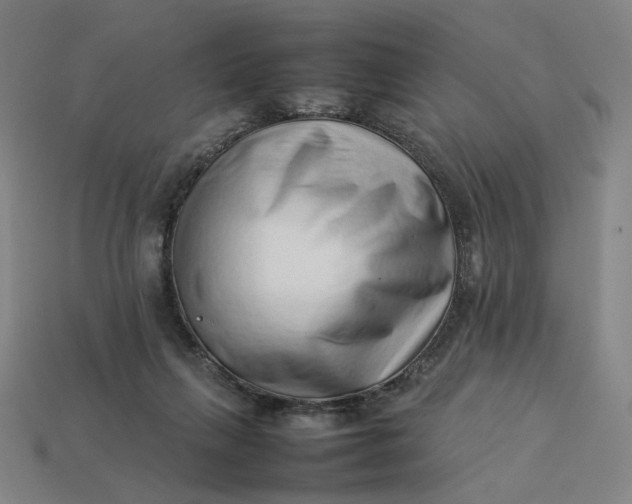 X0000113370263200910061106