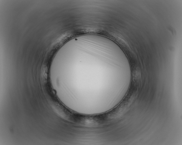 X0000113370264200910061106