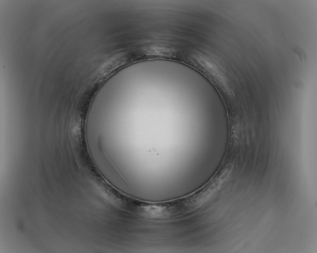 X0000113370265200910061106