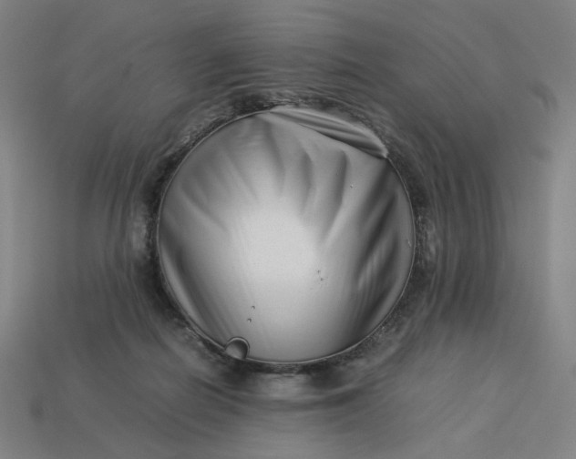 X0000113370266200910061106
