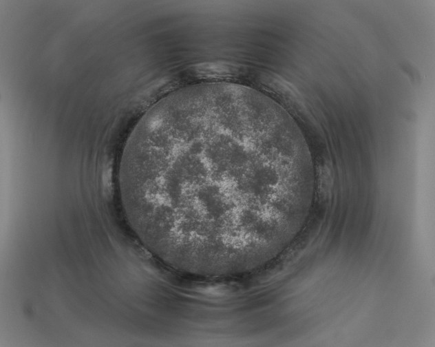 X0000113370267200910061106