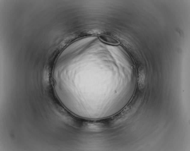 X0000113370268200910061106