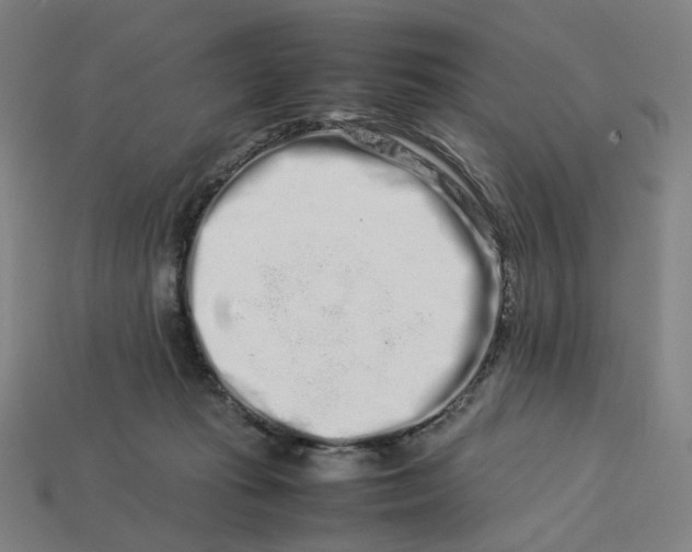 X0000113370269200910061106