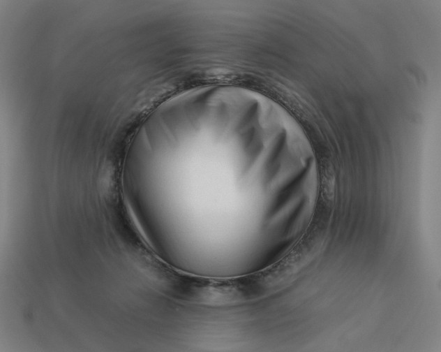 X0000113370270200910061106