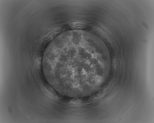 X0000113370271200910061106