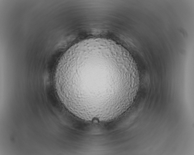X0000113370272200910061106