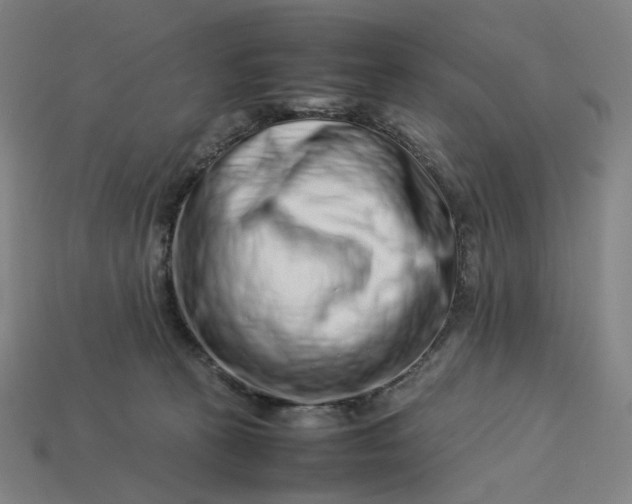 X0000113370273200910061106