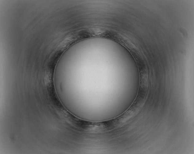 X0000113370274200910061106