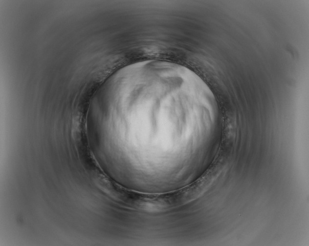 X0000113370275200910061106