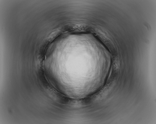 X0000113370276200910061106