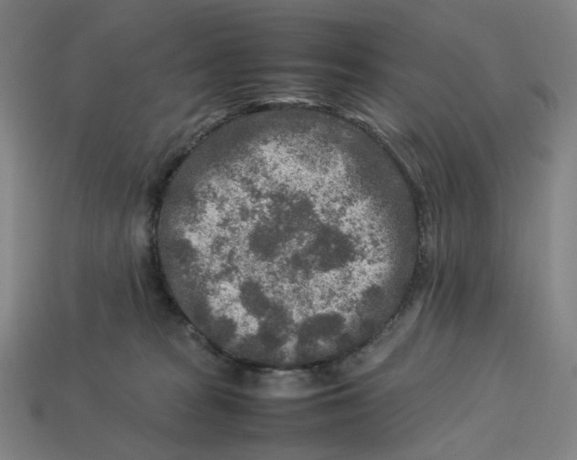 X0000113370277200910061106