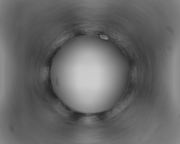 X0000113370278200910061106
